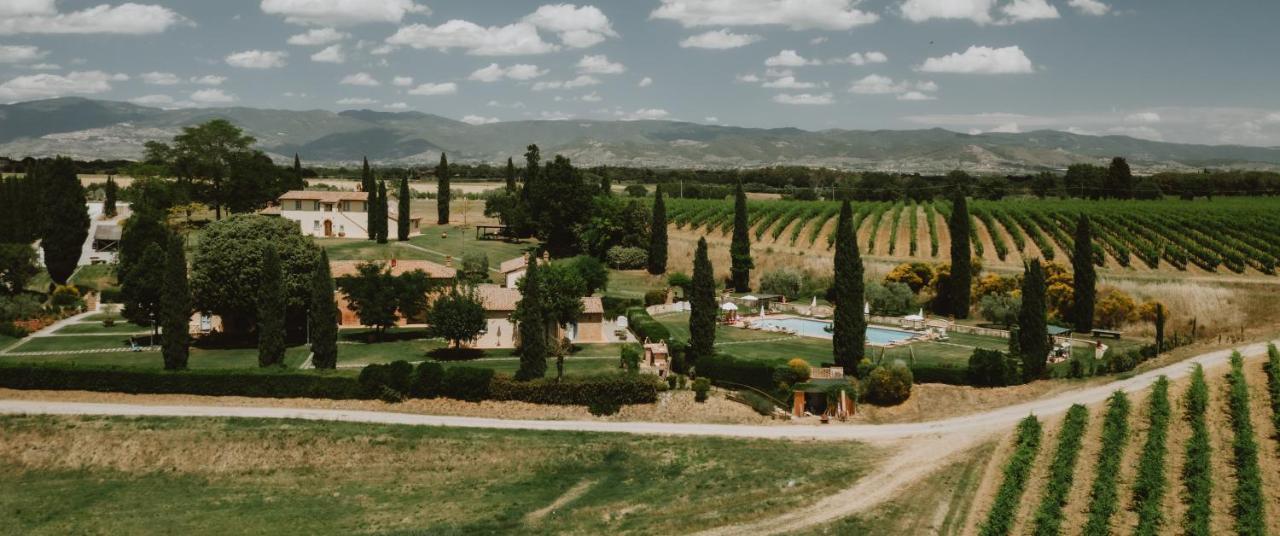 Via Della Stella Villa Valiano ภายนอก รูปภาพ